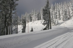 Road to Timberline Lodge