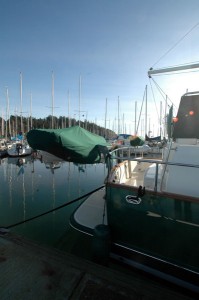 serenity dinghy davit