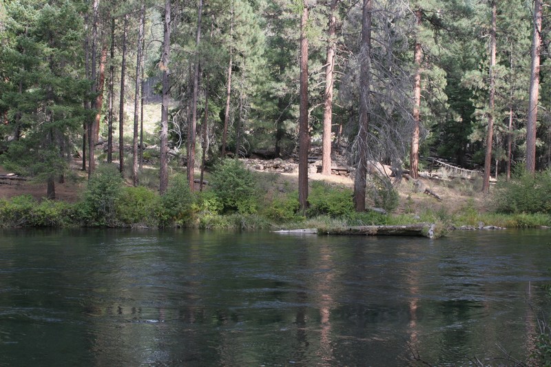 Camping at Candle Creek » Joe Cop NW